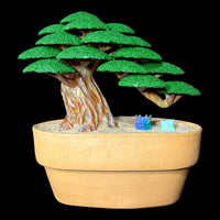 Bubbles the Butcher Weeping Bonsai