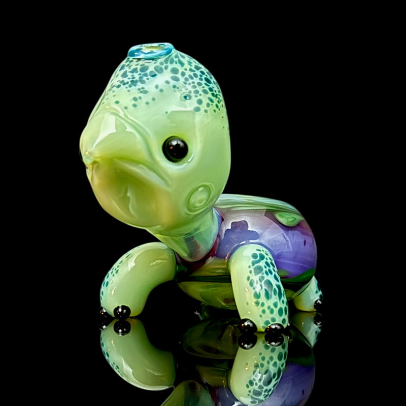 Brandon Martin “Micah” Dry Turtle