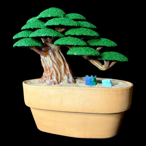 Bubbles the Butcher Weeping Bonsai