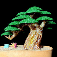 Bubbles the Butcher Weeping Bonsai