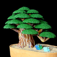 Bubbles the Butcher Weeping Bonsai