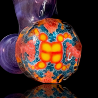 Map Glass Collectors Set