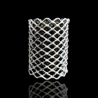 Mamba Guard - Torch Guard