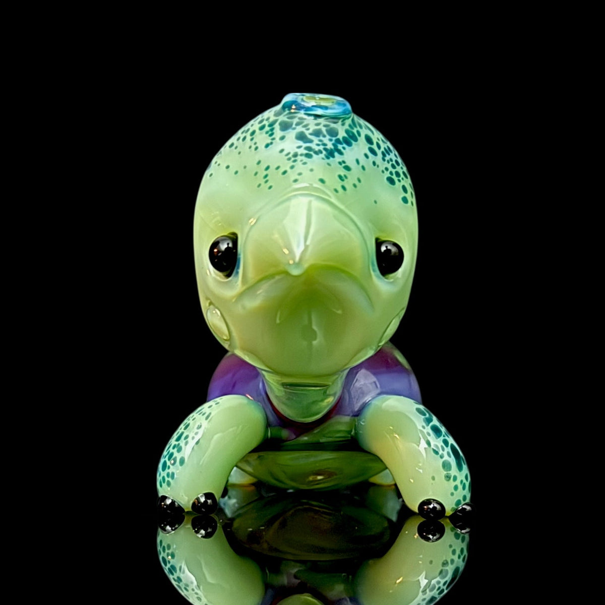 Brandon Martin “Micah” Dry Turtle
