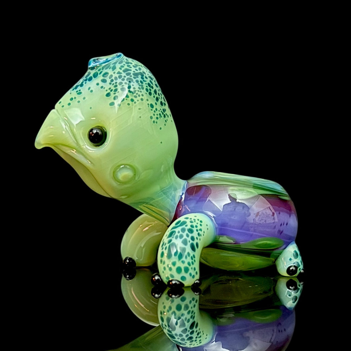 Brandon Martin “Micah” Dry Turtle