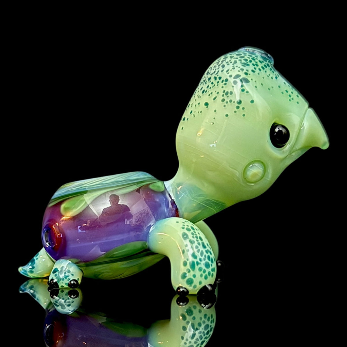 Brandon Martin “Micah” Dry Turtle