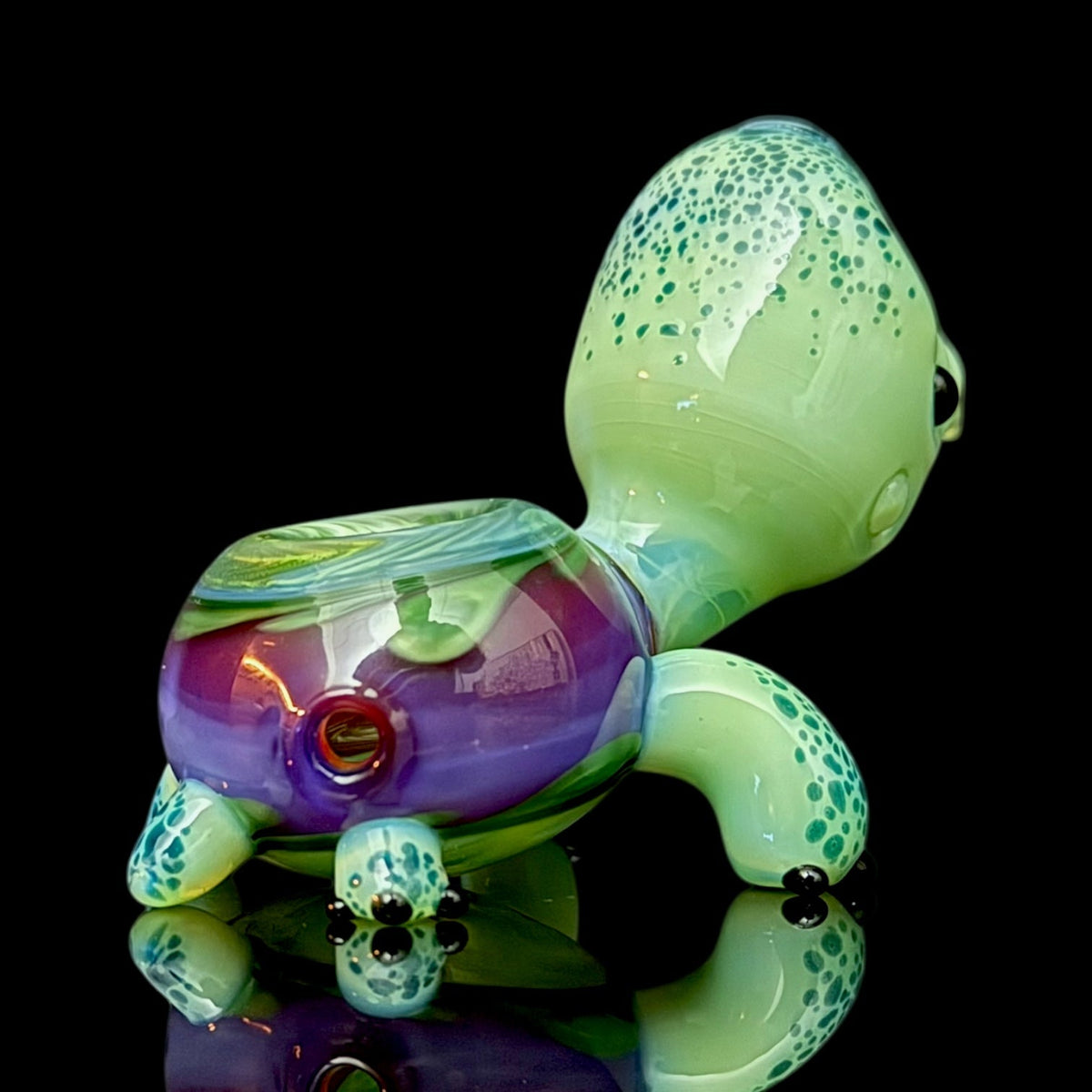 Brandon Martin “Micah” Dry Turtle