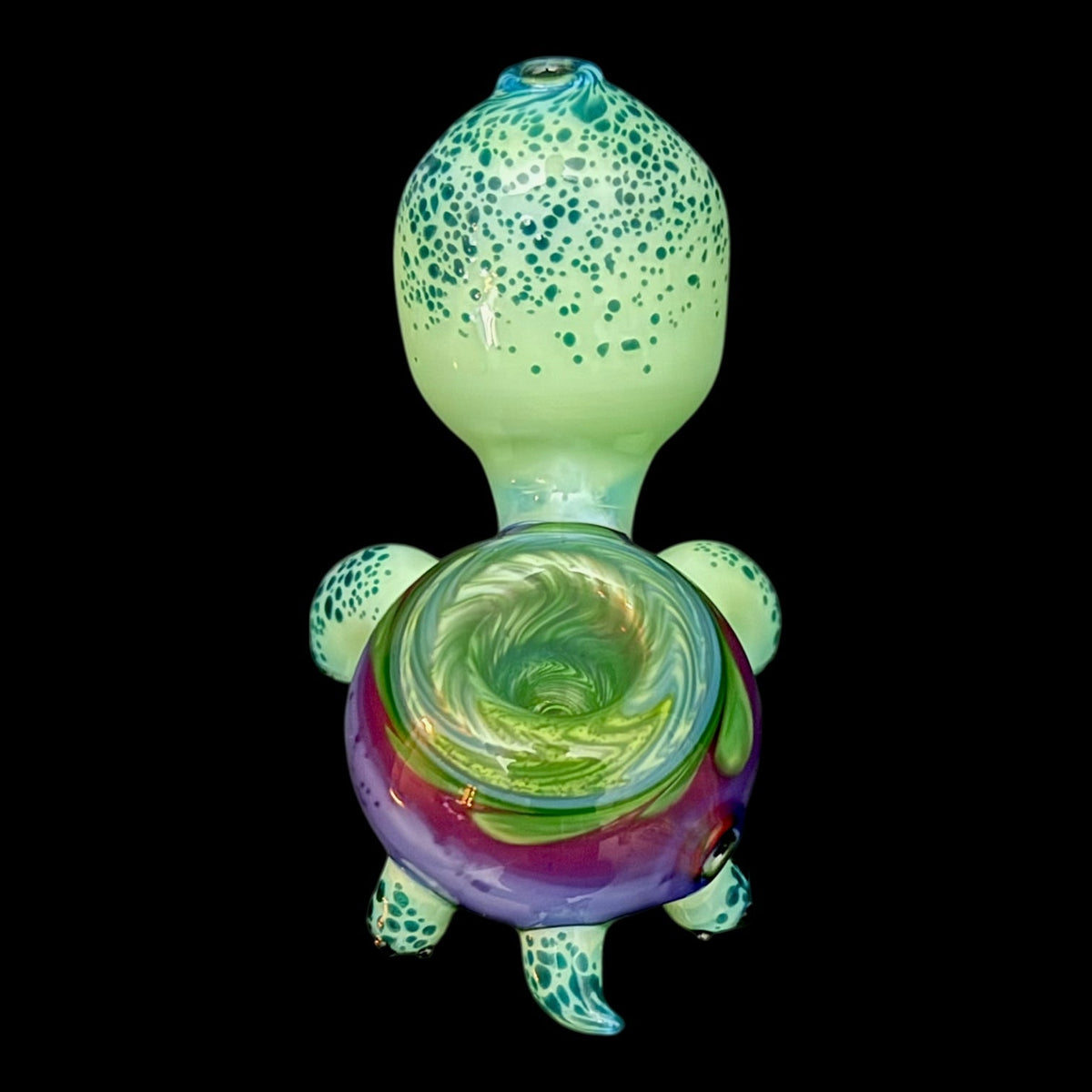 Brandon Martin “Micah” Dry Turtle