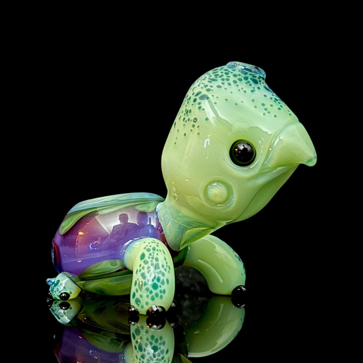 Brandon Martin “Micah” Dry Turtle