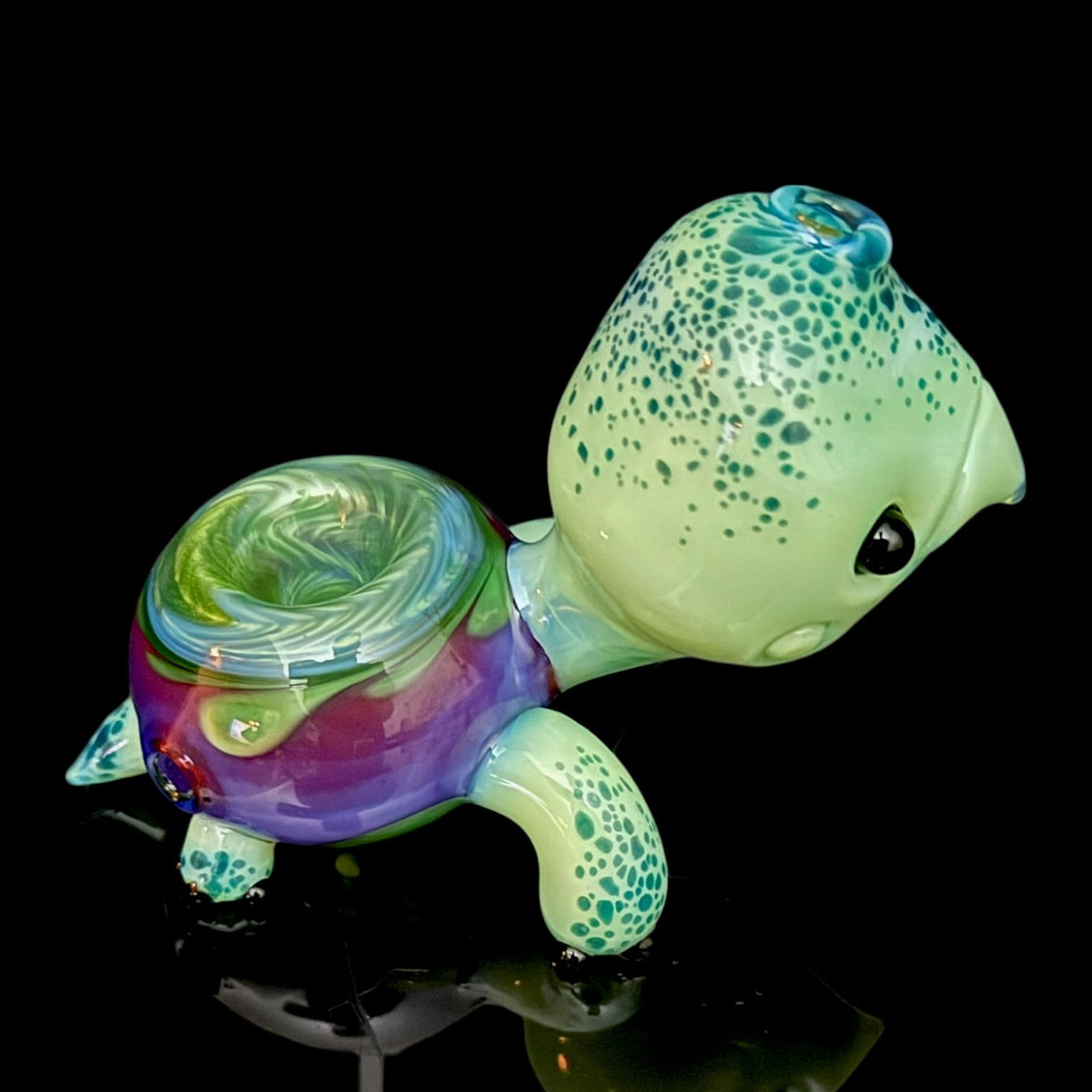 Brandon Martin “Micah” Dry Turtle