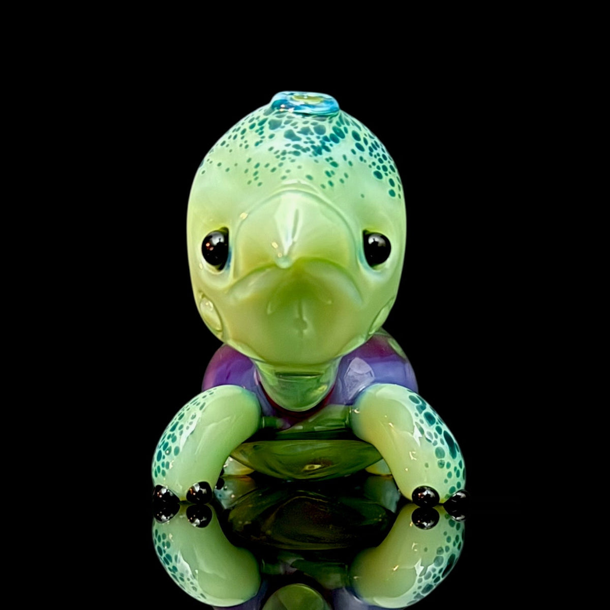 Brandon Martin “Micah” Dry Turtle