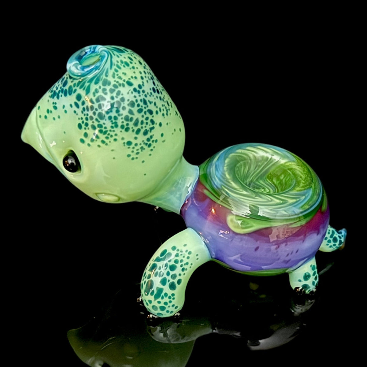 Brandon Martin “Micah” Dry Turtle