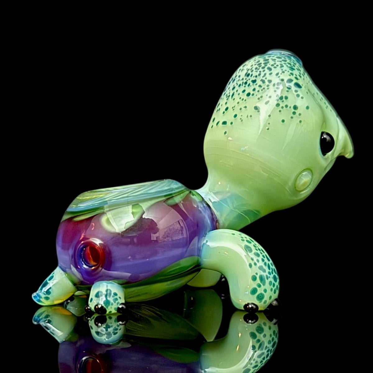 Brandon Martin “Micah” Dry Turtle