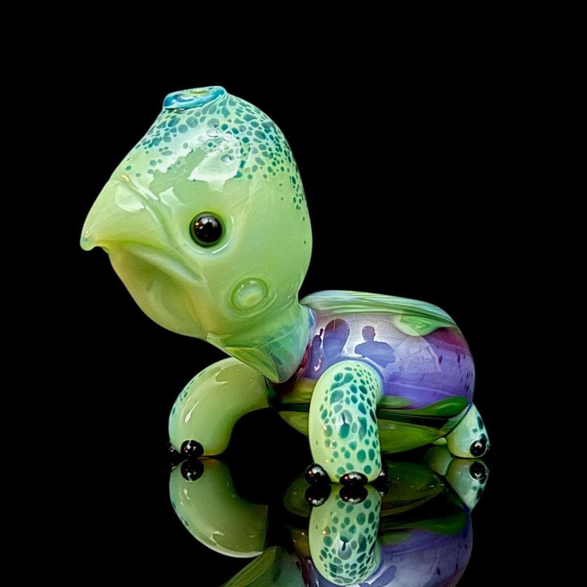 Brandon Martin “Micah” Dry Turtle