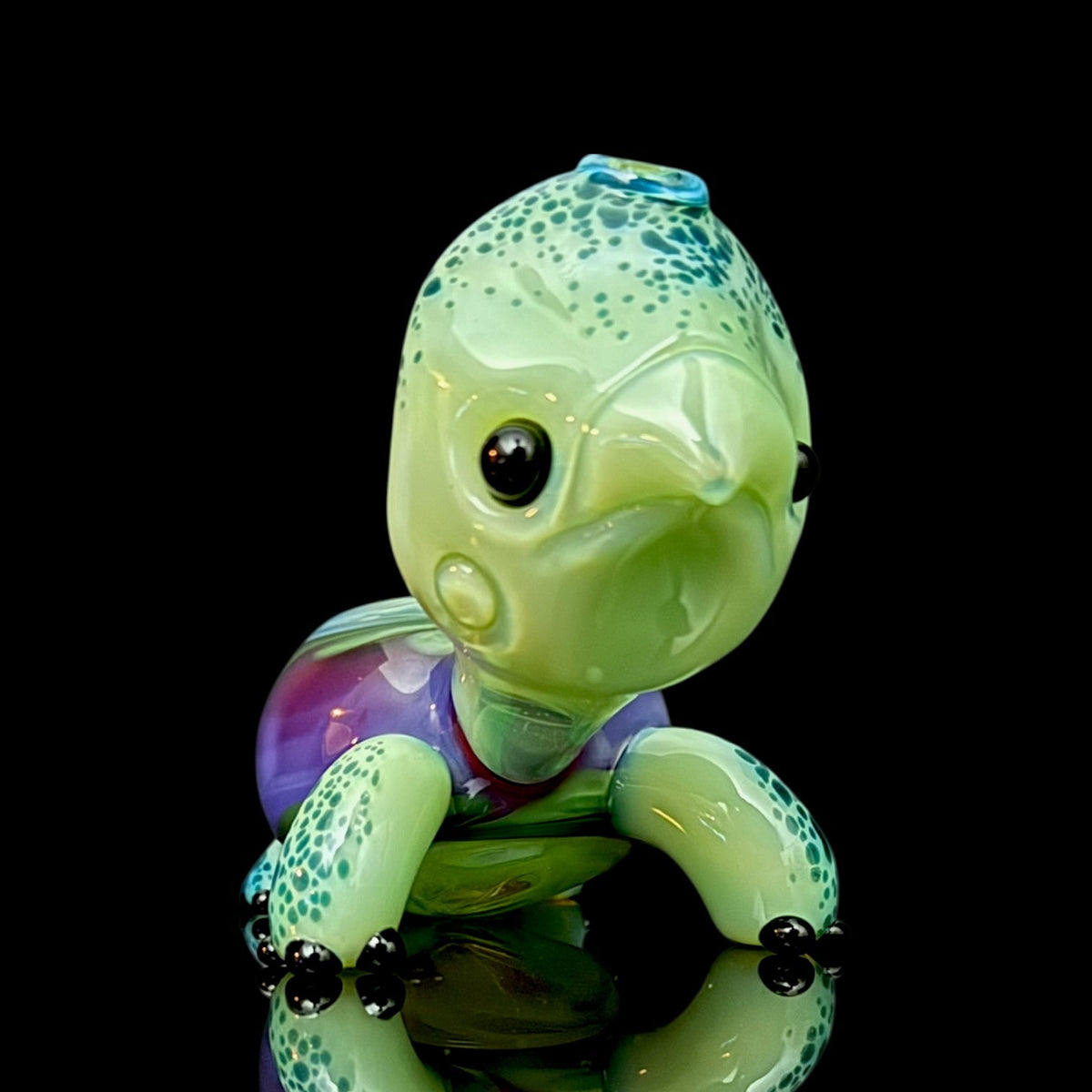 Brandon Martin “Micah” Dry Turtle