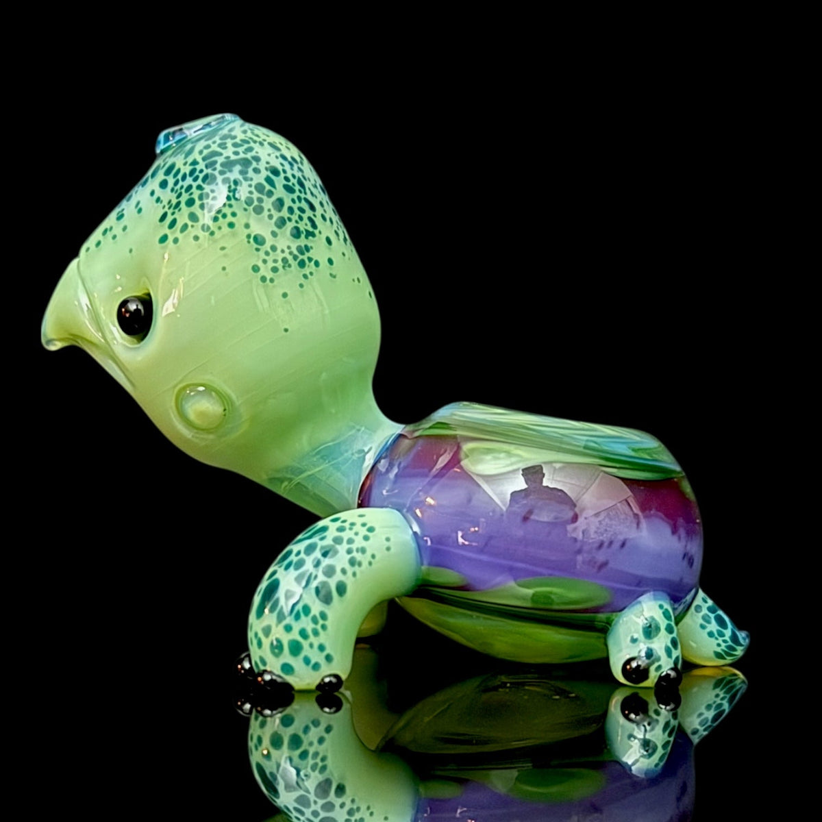 Brandon Martin “Micah” Dry Turtle