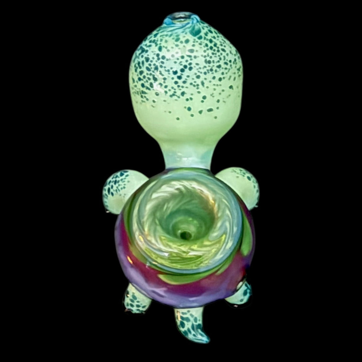 Brandon Martin “Micah” Dry Turtle