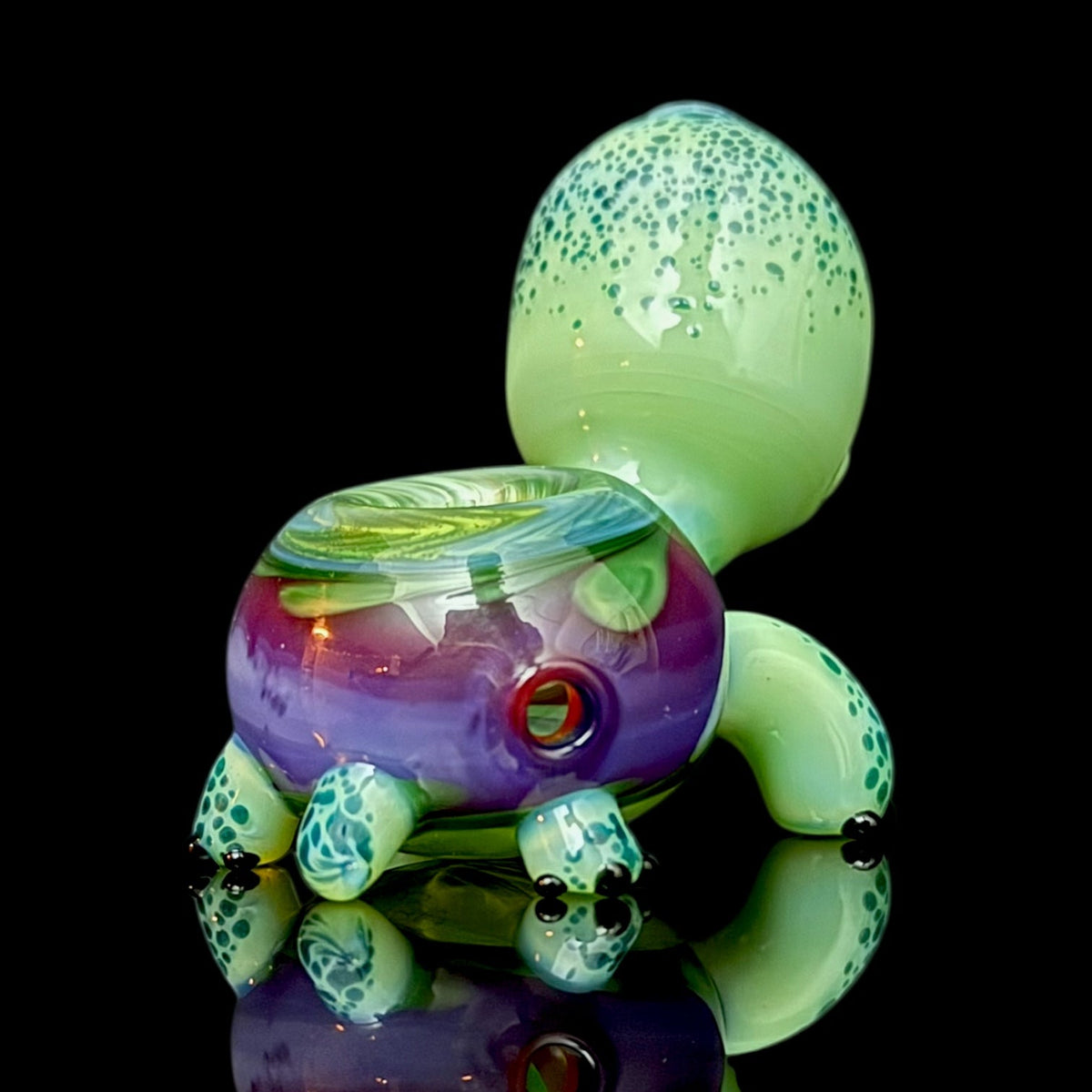 Brandon Martin “Micah” Dry Turtle