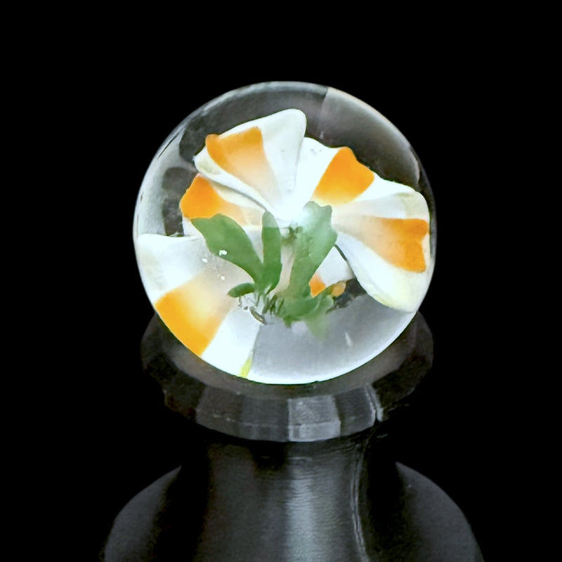 Erik Anders Marble