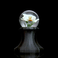 Erik Anders Marble