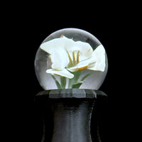 Erik Anders Marble